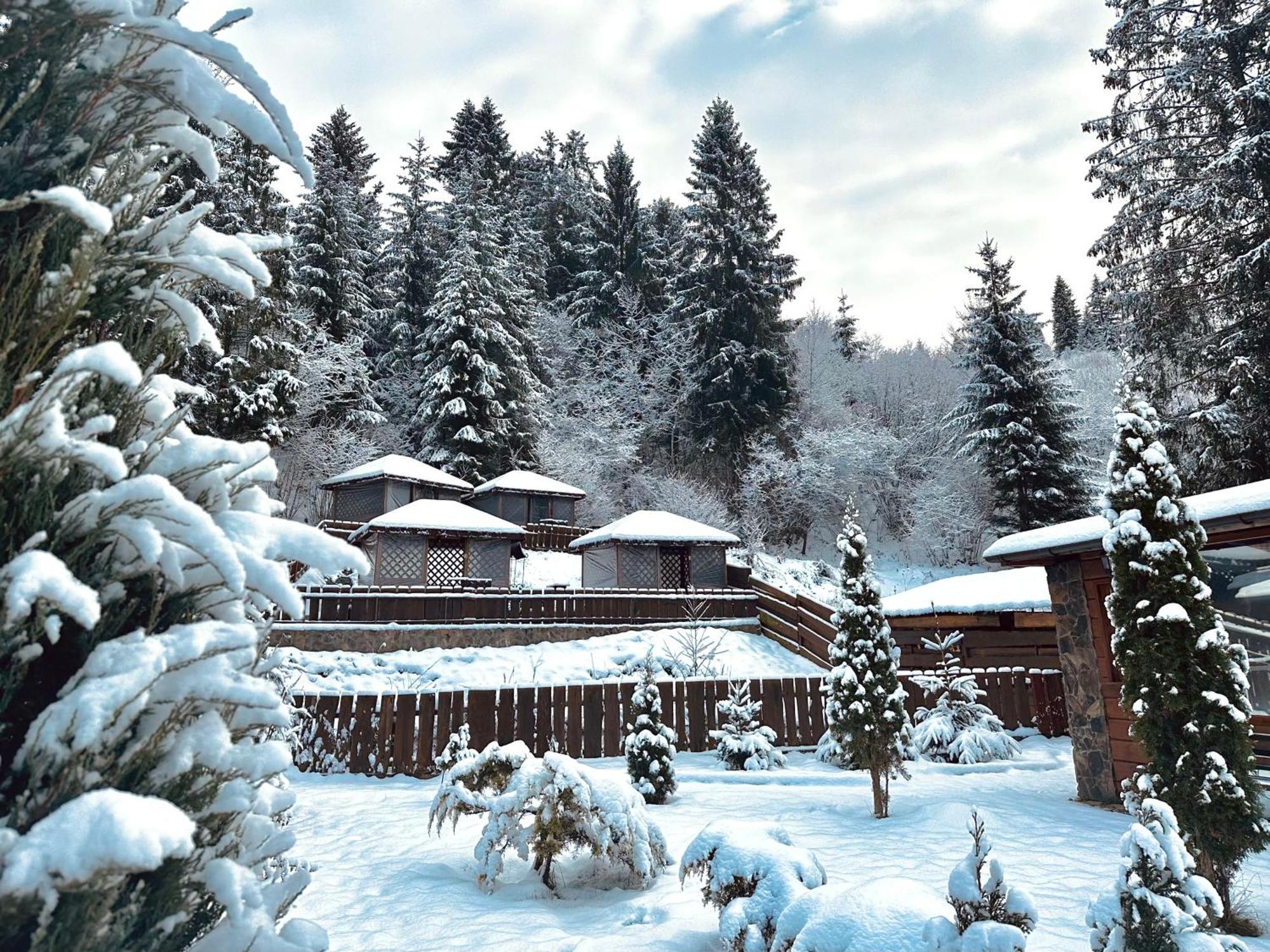 Chalet Filvarok Slavske Exterior foto